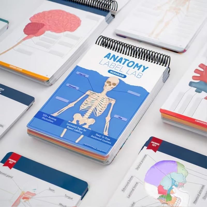 🎁Last Day 50%OFF🔥Anatomy Label Workbook