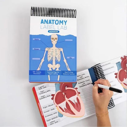 🎁Last Day 50%OFF🔥Anatomy Label Workbook