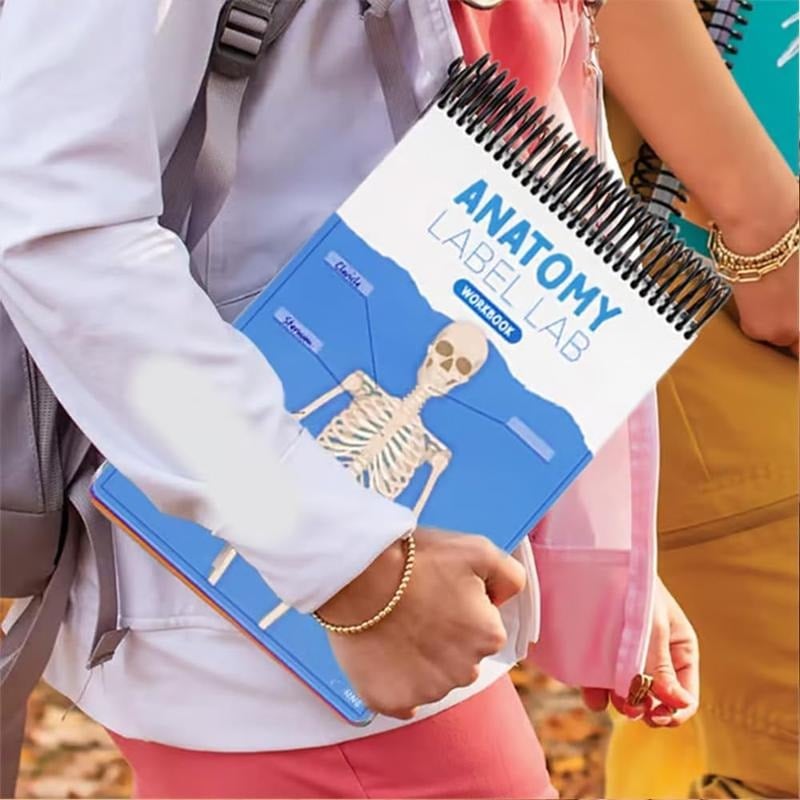 🎁Last Day 50%OFF🔥Anatomy Label Workbook