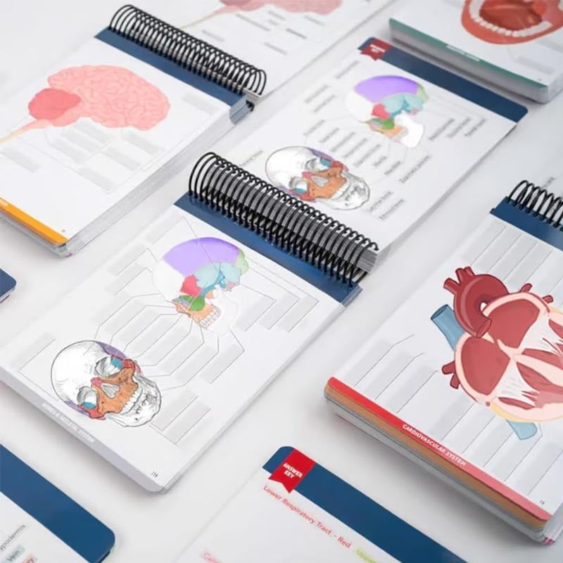 🎁Last Day 50%OFF🔥Anatomy Label Workbook