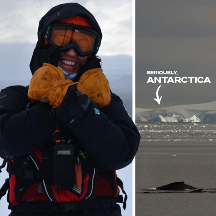 Expedition Split Mittens