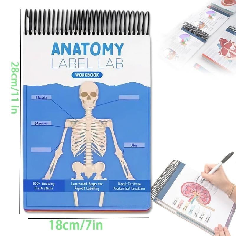 🎁Last Day 50%OFF🔥Anatomy Label Workbook