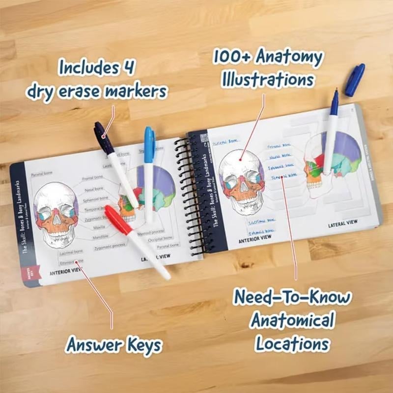 🎁Last Day 50%OFF🔥Anatomy Label Workbook