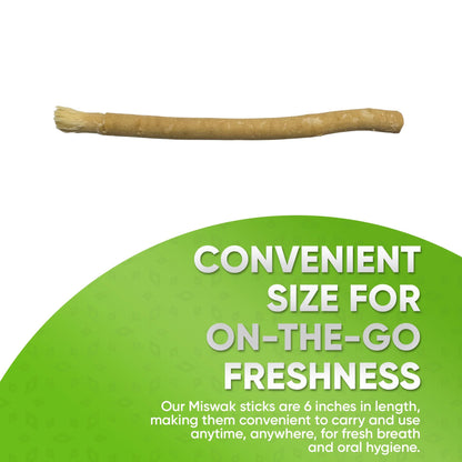 Natural Miswak Oral Care Toothbrush Stick